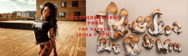 героин Богородицк