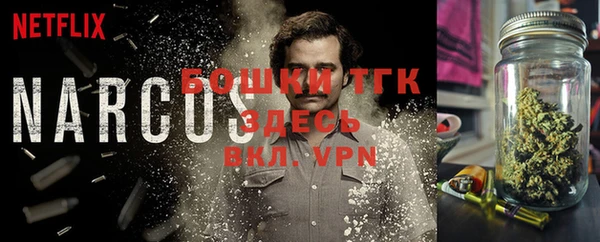 тгк Богданович