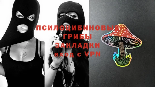 ALPHA PVP Богородск