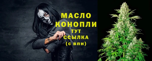 тгк Богданович