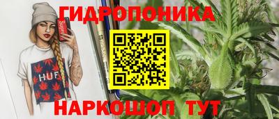 соль ск Ипатово