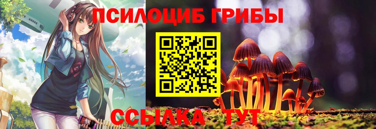 Псилоцибиновые грибы мицелий  Псилоцибиновые грибы Magic Shrooms  Вход с VPN  Кушва 