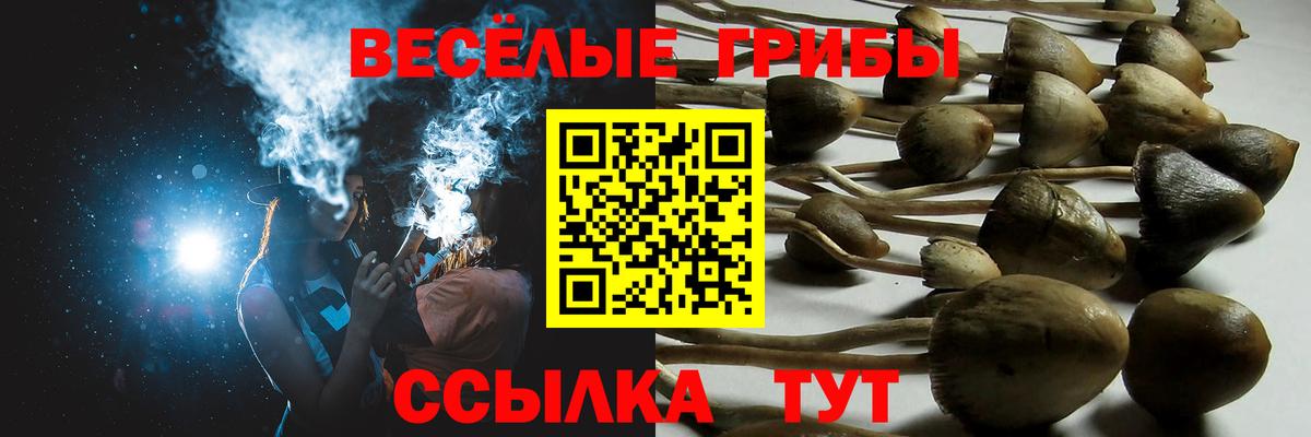 Галлюциногенные грибы ЛСД Кушва